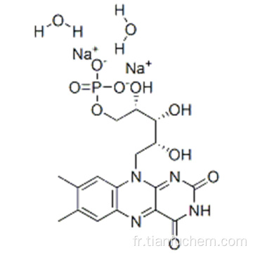 DIHYDRATE DE SEL DE SEL DE RIBOFLAVIN-5&#39;-PHOSPHATE CAS 6184-17-4